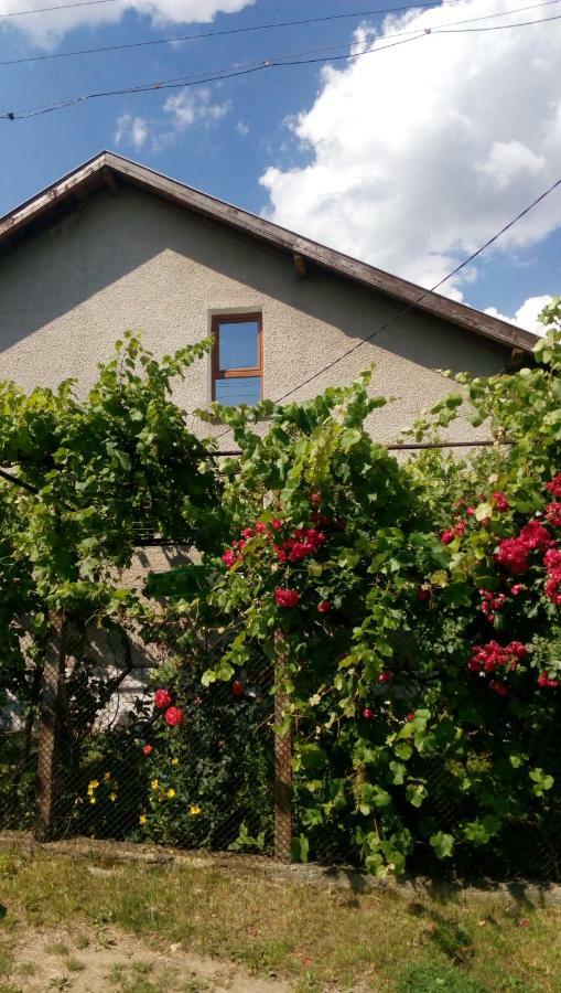 Къща Джулия Villa Sapareva Banja Eksteriør bilde